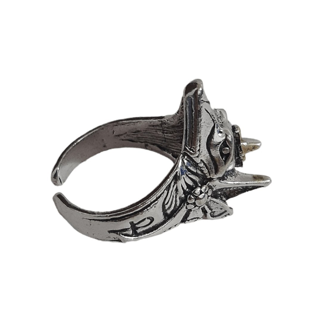 Anillo Anubis Egipcio - Diversa Colección