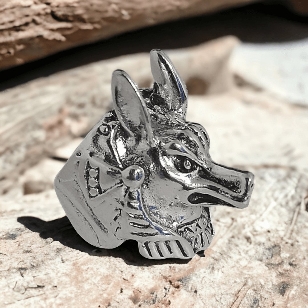 Anillo Chacal Egipcio - Diversa Colección